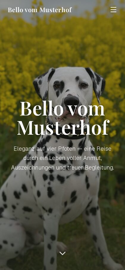 Die Beispielseite am Handy: der bildschirmfüllende Hero mit dem Namen des Hundes.
